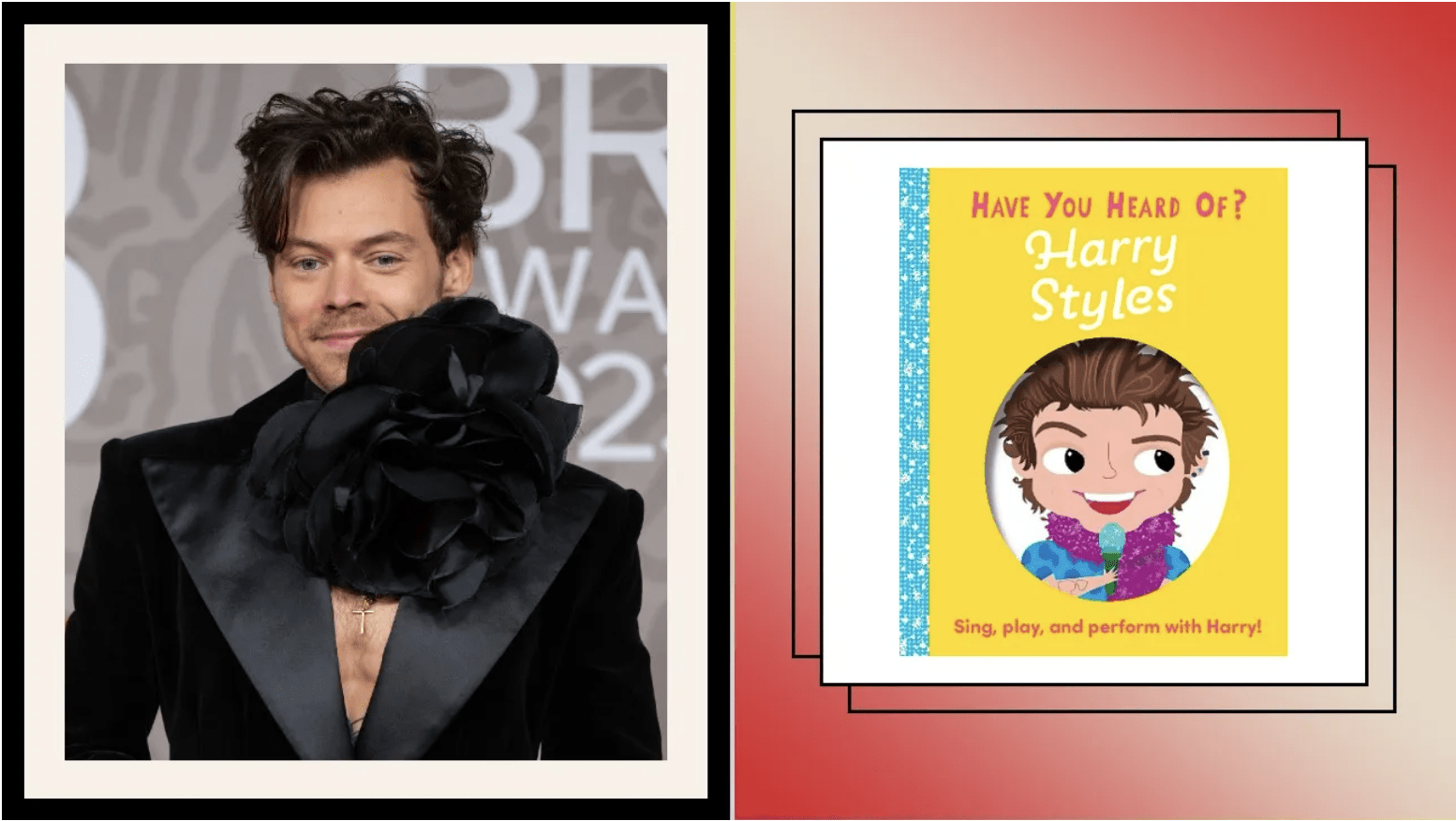 Have you heard of harry styles book